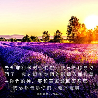 Picture 03 - 耶 利 米 書 42:4 CUVT - 先 知 耶 利 米 對 他 們 說 ： 我 已 - Bible Verse Picture