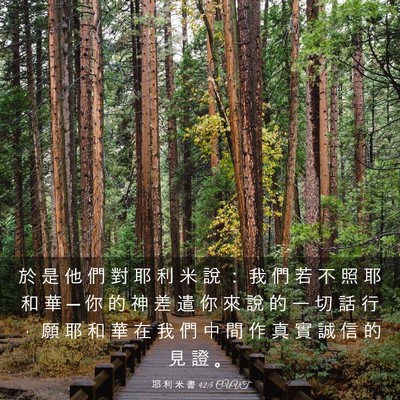 Picture 03 - 耶 利 米 書 42:5 CUVT - 於 是 他 們 對 耶 利 米 說 ： 我 們 - Bible Verse Picture