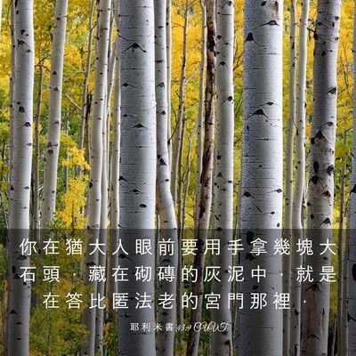 Picture 03 - 耶 利 米 書 43:9 CUVT - 你 在 猶 大 人 眼 前 要 用 手 拿 幾 - Bible Verse Picture