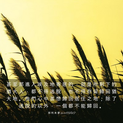 Picture 03 - 耶 利 米 書 44:14 CUVT - 甚 至 那 進 入 埃 及 地 寄 居 的 ， - Bible Verse Picture