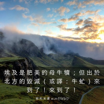 Picture 03 - 耶 利 米 書 46:20 CUVT - 埃 及 是 肥 美 的 母 牛 犢 ； 但 出 - Bible Verse Picture