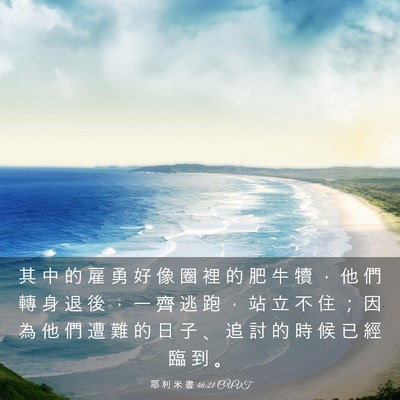 Picture 03 - 耶 利 米 書 46:21 CUVT - 其 中 的 雇 勇 好 像 圈 裡 的 肥 牛 - Bible Verse Picture