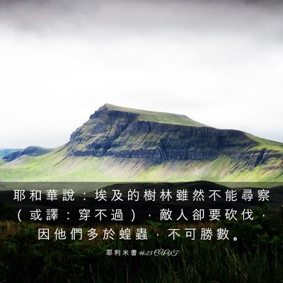 Picture 03 - 耶 利 米 書 46:23 CUVT - 耶 和 華 說 ： 埃 及 的 樹 林 雖 然 - Bible Verse Picture