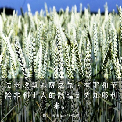 Picture 03 - 耶 利 米 書 47:1 CUVT - 法 老 攻 擊 迦 薩 之 先 ， 有 耶 和 - Bible Verse Picture