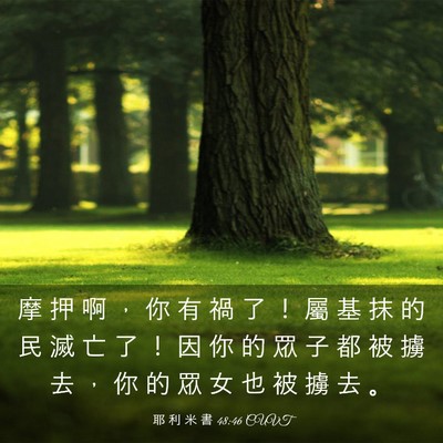 Picture 03 - 耶 利 米 書 48:46 CUVT - 摩 押 啊 ， 你 有 禍 了 ！ 屬 基 抹 - Bible Verse Picture