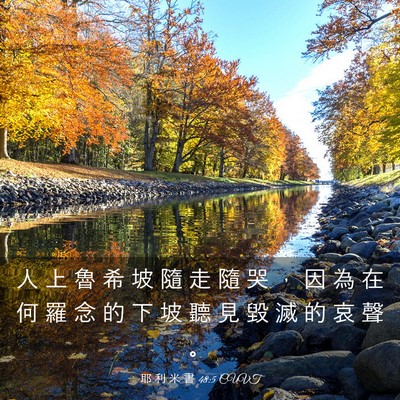 Picture 03 - 耶 利 米 書 48:5 CUVT - 人 上 魯 希 坡 隨 走 隨 哭 ， 因 為 - Bible Verse Picture