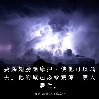 Picture 03 - 耶 利 米 書 48:9 CUVT - 要 將 翅 膀 給 摩 押 ， 使 他 可 以 - Bible Verse Picture