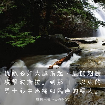 Picture 03 - 耶 利 米 書 49:22 CUVT - 仇 敵 必 如 大 鷹 飛 起 ， 展 開 翅 - Bible Verse Picture