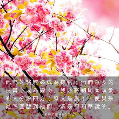 Picture 03 - 耶 利 米 書 49:32 CUVT - 他 們 的 駱 駝 必 成 為 掠 物 ； 他 - Bible Verse Picture