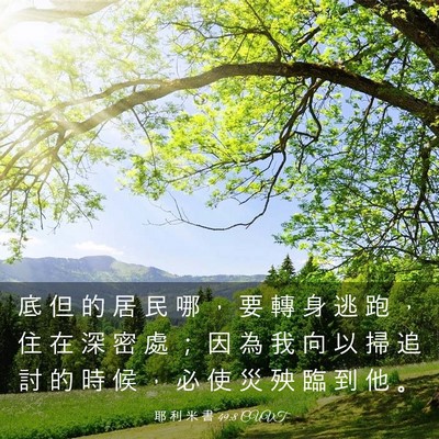 Picture 03 - 耶 利 米 書 49:8 CUVT - 底 但 的 居 民 哪 ， 要 轉 身 逃 跑 - Bible Verse Picture