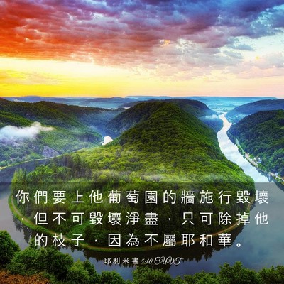 Picture 03 - 耶 利 米 書 5:10 CUVT - 你 們 要 上 他 葡 萄 園 的 牆 施 行 - Bible Verse Picture