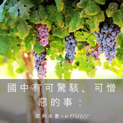 Picture 03 - 耶 利 米 書 5:30 CUVT - 國 中 有 可 驚 駭 、 可 憎 惡 的 事 - Bible Verse Picture