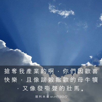 Picture 03 - 耶 利 米 書 50:11 CUVT - 搶 奪 我 產 業 的 啊 ， 你 們 因 歡 - Bible Verse Picture