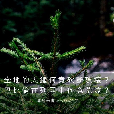 Picture 03 - 耶 利 米 書 50:23 CUVT - 全 地 的 大 錘 何 竟 砍 斷 破 壞 ？ - Bible Verse Picture