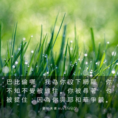 Picture 03 - 耶 利 米 書 50:24 CUVT - 巴 比 倫 哪 ， 我 為 你 設 下 網 羅 - Bible Verse Picture