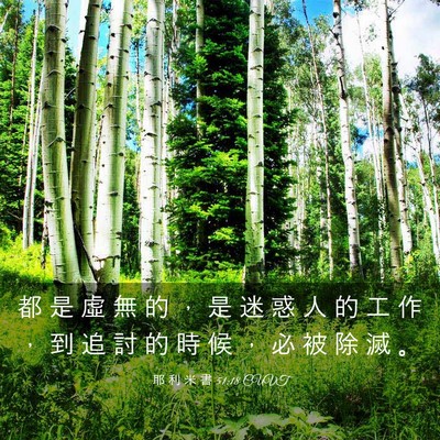 Picture 03 - 耶 利 米 書 51:18 CUVT - 都 是 虛 無 的 ， 是 迷 惑 人 的 工 - Bible Verse Picture