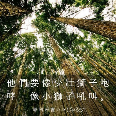 Picture 03 - 耶 利 米 書 51:38 CUVT - 他 們 要 像 少 壯 獅 子 咆 哮 ， 像 - Bible Verse Picture