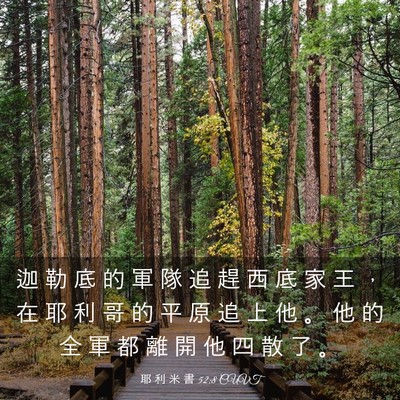 Picture 03 - 耶 利 米 書 52:8 CUVT - 迦 勒 底 的 軍 隊 追 趕 西 底 家 王 - Bible Verse Picture
