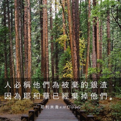 Picture 03 - 耶 利 米 書 6:30 CUVT - 人 必 稱 他 們 為 被 棄 的 銀 渣 ， - Bible Verse Picture