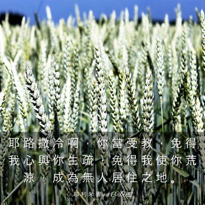 Picture 03 - 耶 利 米 書 6:8 CUVT - 耶 路 撒 冷 啊 ， 你 當 受 教 ， 免 - Bible Verse Picture