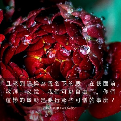 Picture 03 - 耶 利 米 書 7:10 CUVT - 且 來 到 這 稱 為 我 名 下 的 殿 ， - Bible Verse Picture