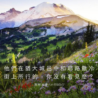 Picture 03 - 耶 利 米 書 7:17 CUVT - 他 們 在 猶 大 城 邑 中 和 耶 路 撒 - Bible Verse Picture