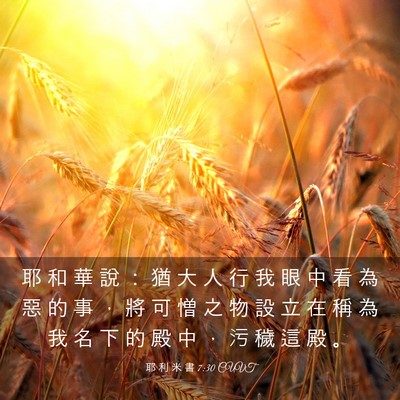Picture 03 - 耶 利 米 書 7:30 CUVT - 耶 和 華 說 ： 猶 大 人 行 我 眼 中 - Bible Verse Picture