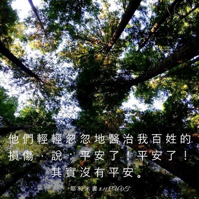 Picture 03 - 耶 利 米 書 8:11 CUVT - 他 們 輕 輕 忽 忽 地 醫 治 我 百 姓 - Bible Verse Picture