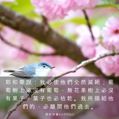Picture 03 - 耶 利 米 書 8:13 CUVT - 耶 和 華 說 ： 我 必 使 他 們 全 然 - Bible Verse Picture