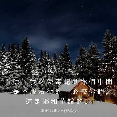 Picture 03 - 耶 利 米 書 8:17 CUVT - 看 哪 ， 我 必 使 毒 蛇 到 你 們 中 - Bible Verse Picture