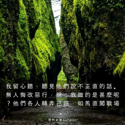 Picture 03 - 耶 利 米 書 8:6 CUVT - 我 留 心 聽 ， 聽 見 他 們 說 不 正 - Bible Verse Picture