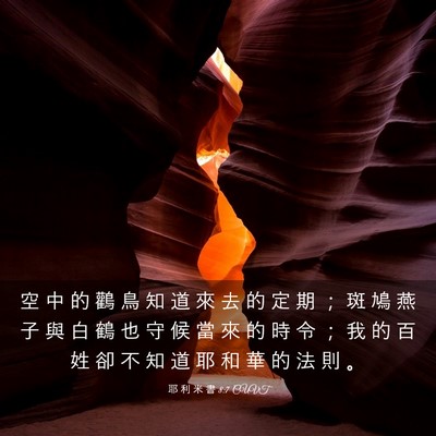 Picture 03 - 耶 利 米 書 8:7 CUVT - 空 中 的 鸛 鳥 知 道 來 去 的 定 期 - Bible Verse Picture