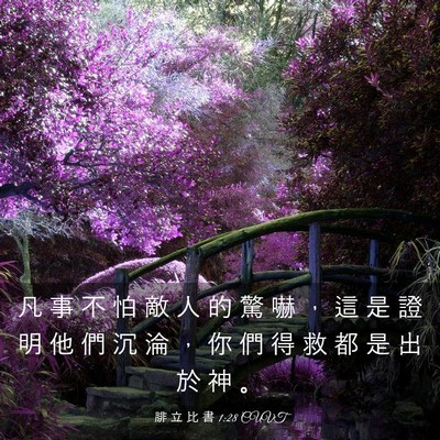 Picture 03 - 腓 立 比 書 1:28 CUVT - 凡 事 不 怕 敵 人 的 驚 嚇 ， 這 是 - Bible Verse Picture