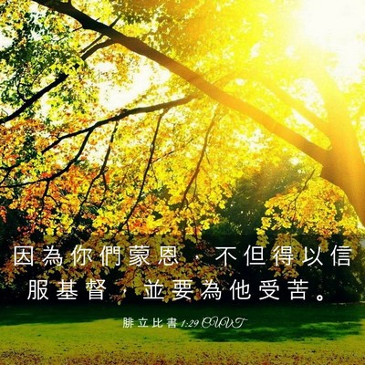 Picture 03 - 腓 立 比 書 1:29 CUVT - 因 為 你 們 蒙 恩 ， 不 但 得 以 信 - Bible Verse Picture