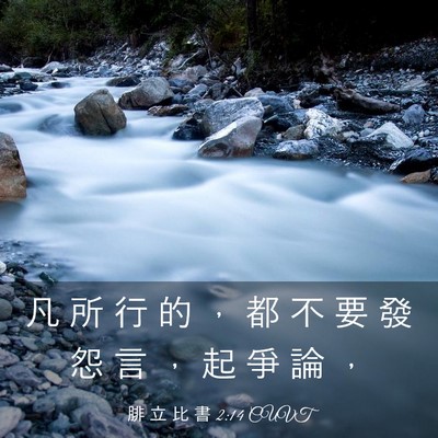 Picture 03 - 腓 立 比 書 2:14 CUVT - 凡 所 行 的 ， 都 不 要 發 怨 言 ， - Bible Verse Picture