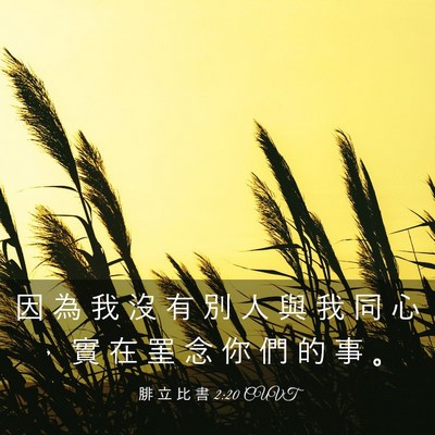 Picture 03 - 腓 立 比 書 2:20 CUVT - 因 為 我 沒 有 別 人 與 我 同 心 ， - Bible Verse Picture
