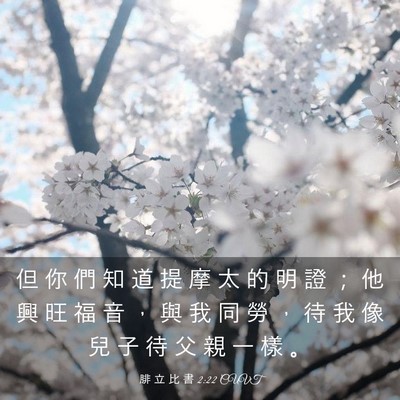 Picture 03 - 腓 立 比 書 2:22 CUVT - 但 你 們 知 道 提 摩 太 的 明 證 ； - Bible Verse Picture