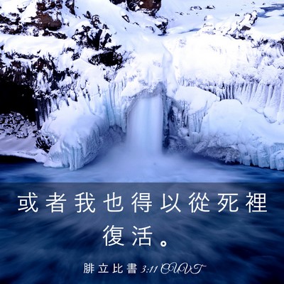 Picture 03 - 腓 立 比 書 3:11 CUVT - 或 者 我 也 得 以 從 死 裡 復 活 - Bible Verse Picture