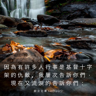 Picture 03 - 腓 立 比 書 3:18 CUVT - 因 為 有 許 多 人 行 事 是 基 督 十 - Bible Verse Picture