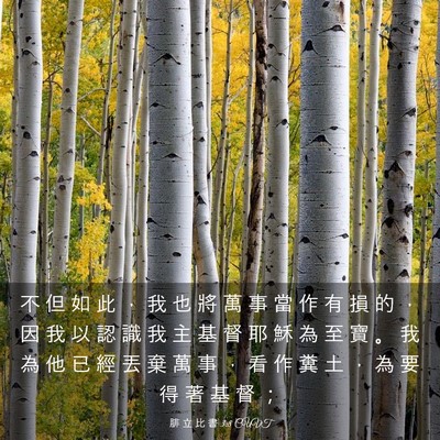 Picture 03 - 腓 立 比 書 3:8 CUVT - 不 但 如 此 ， 我 也 將 萬 事 當 作 - Bible Verse Picture