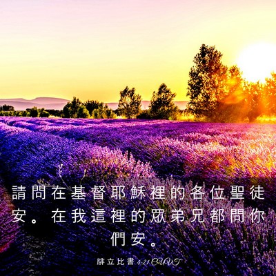 Picture 03 - 腓 立 比 書 4:21 CUVT - 請 問 在 基 督 耶 穌 裡 的 各 位 聖 - Bible Verse Picture