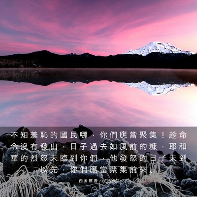 Picture 03 - 西 番 雅 書 2:1 CUVT - 不 知 羞 恥 的 國 民 哪 ， 你 們 應 - Bible Verse Picture