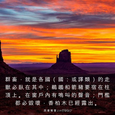 Picture 03 - 西 番 雅 書 2:14 CUVT - 群 畜 ， 就 是 各 國 （ 國 ： 或 譯 - Bible Verse Picture