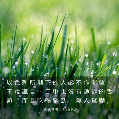 Picture 03 - 西 番 雅 書 3:13 CUVT - 以 色 列 所 剩 下 的 人 必 不 作 罪 - Bible Verse Picture