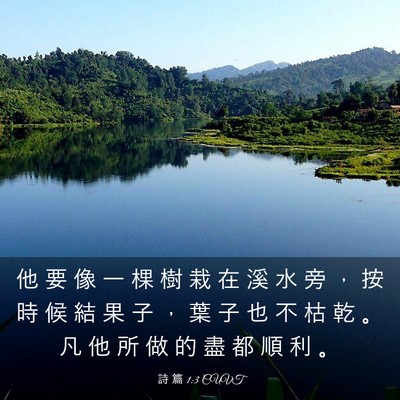 Picture 03 - 詩 篇 1:3 CUVT - 他 要 像 一 棵 樹 栽 在 溪 水 旁 ， - Bible Verse Picture