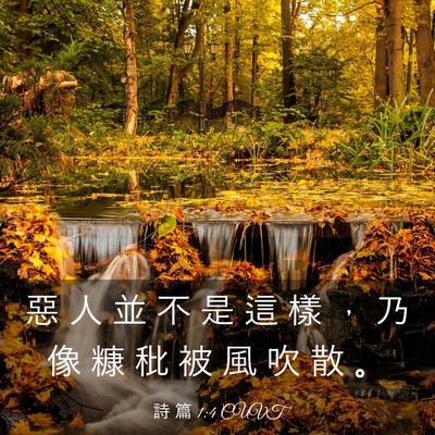 Picture 03 - 詩 篇 1:4 CUVT - 惡 人 並 不 是 這 樣 ， 乃 像 糠 秕 - Bible Verse Picture