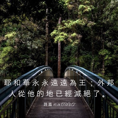Picture 03 - 詩 篇 10:16 CUVT - 耶 和 華 永 永 遠 遠 為 王 ； 外 邦 - Bible Verse Picture