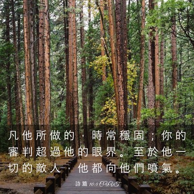 Picture 03 - 詩 篇 10:5 CUVT - 凡 他 所 做 的 ， 時 常 穩 固 ； 你 - Bible Verse Picture