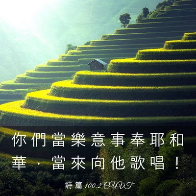 Picture 03 - 詩 篇 100:2 CUVT - 你 們 當 樂 意 事 奉 耶 和 華 ， 當 - Bible Verse Picture