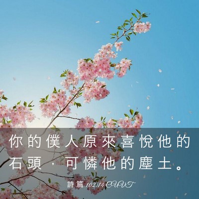 Picture 03 - 詩 篇 102:14 CUVT - 你 的 僕 人 原 來 喜 悅 他 的 石 頭 - Bible Verse Picture